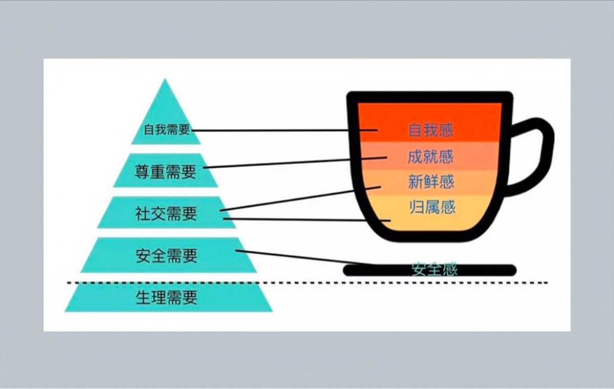五层模型相应的感受区